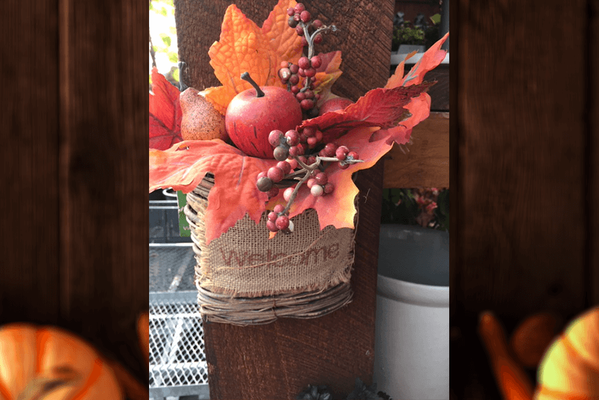 Fall at Marshall County Co-Op