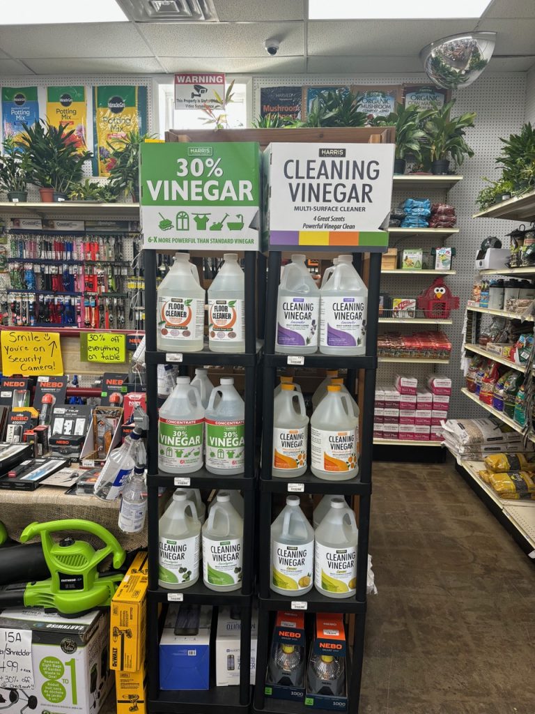 Vinegar cleaning supplies