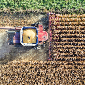 March at the Marshall County Co-Op: Growing Stronger Together This Spring