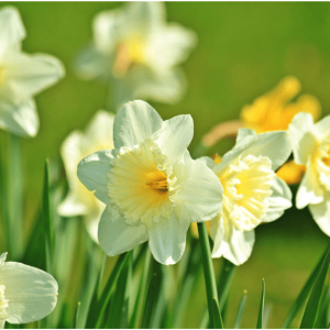 April in the Oil & Gas Industry: Working Together in the Ohio Valley