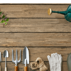 May at Marshall County Co-op: Celebrating Growth, Gratitude & the Season Ahead