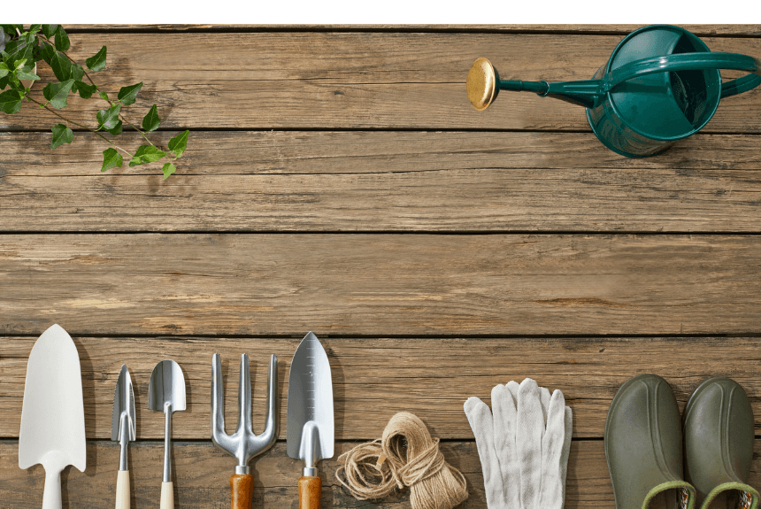 May at Marshall County Co-op: Celebrating Growth, Gratitude & the Season Ahead May at Marshall County Co-op: Celebrating Growth, Gratitude & the Season Ahead