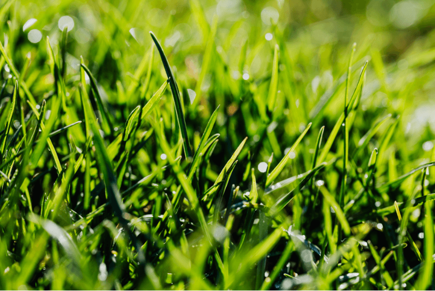 May Means Growth: How Marshall County Co-op Supports the Oil & Gas Industry with Custom Seed Solutions May Means Growth: How Marshall County Co-op Supports the Oil & Gas Industry with Custom Seed Solutions