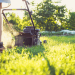 Marshall County Co-op’s Gardening Tips