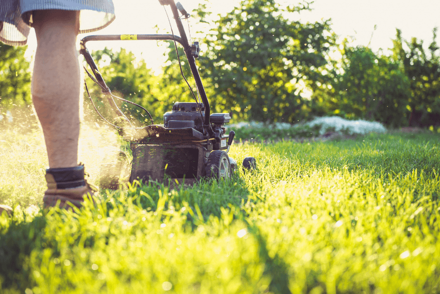 Marshall County Co-op’s Gardening Tips Marshall County Co-op’s Gardening Tips